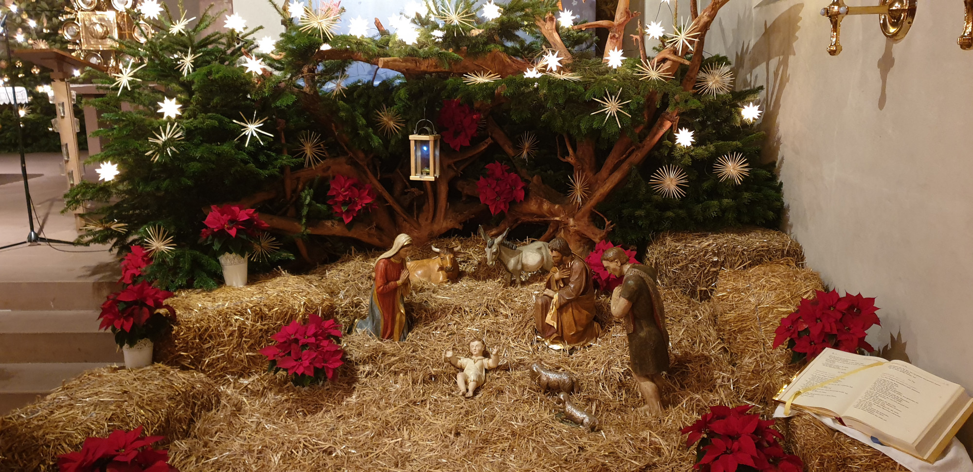  &copy; Bild: Giuseppe Abrami